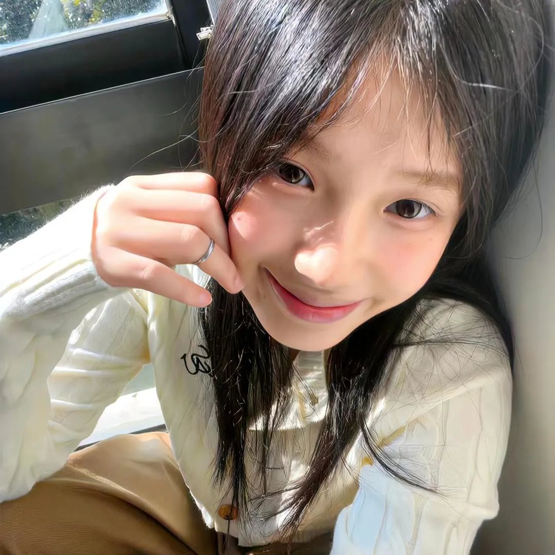 极速小绵羊